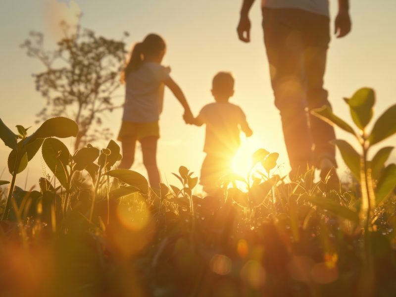 Parent and two children walking together in a field at sunset